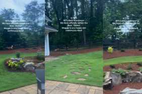 Dog Has Found True Friend in a Deer & They Have Their Own Special Game
