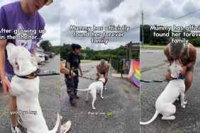 Deaf Shelter Dog Almost Gave up on Finding a Family Until It All Changed