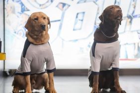 Meet NHL's Stanley Pup 2026 Participants as Competition Nears Premiere