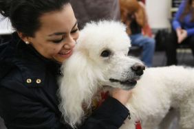 Poodle Part of Expanding Animal-Assisted Therapy Service