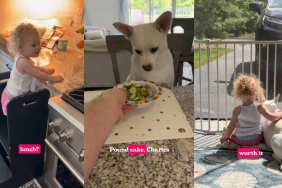 Deaf Rescue Dog Understands Dad’s Gesture To Sit Close to Little Girl for Lunch