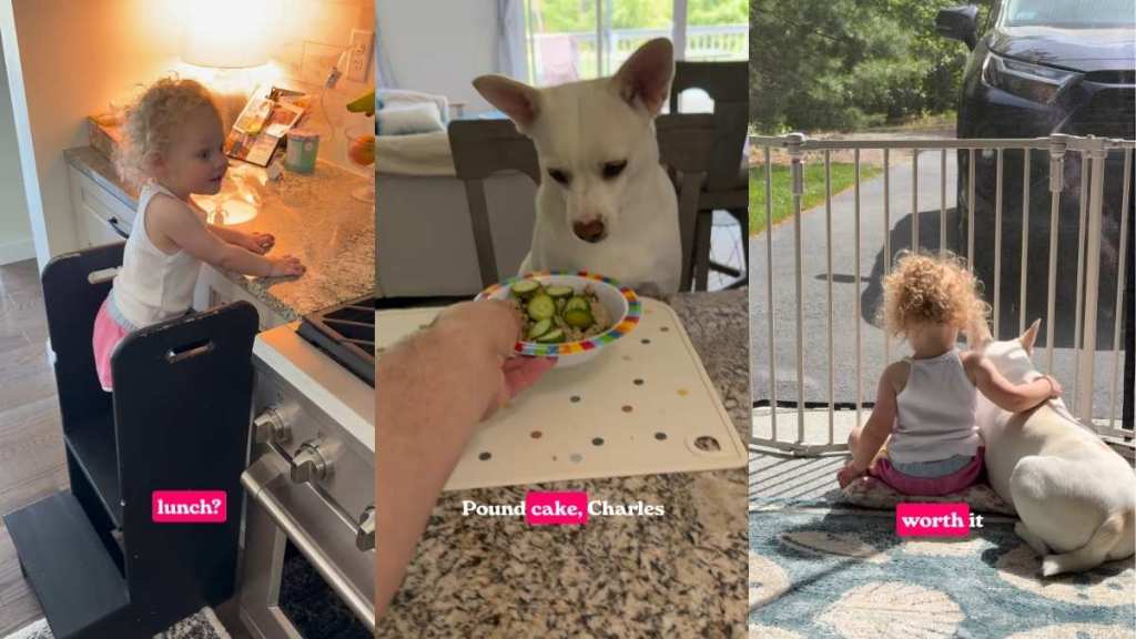 Deaf Rescue Dog Understands Dad’s Gesture To Sit Close to Little Girl for Lunch