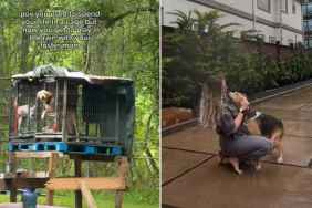 Rescue Dog Spent Most of His Life in a Cage but Now Loves the Outdoors
