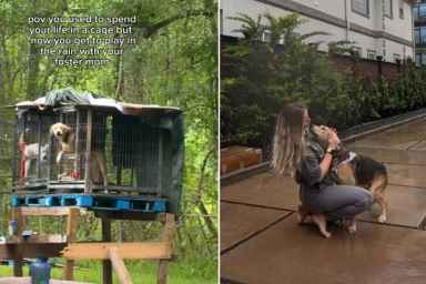 Rescue Dog Spent Most of His Life in a Cage but Now Loves the Outdoors