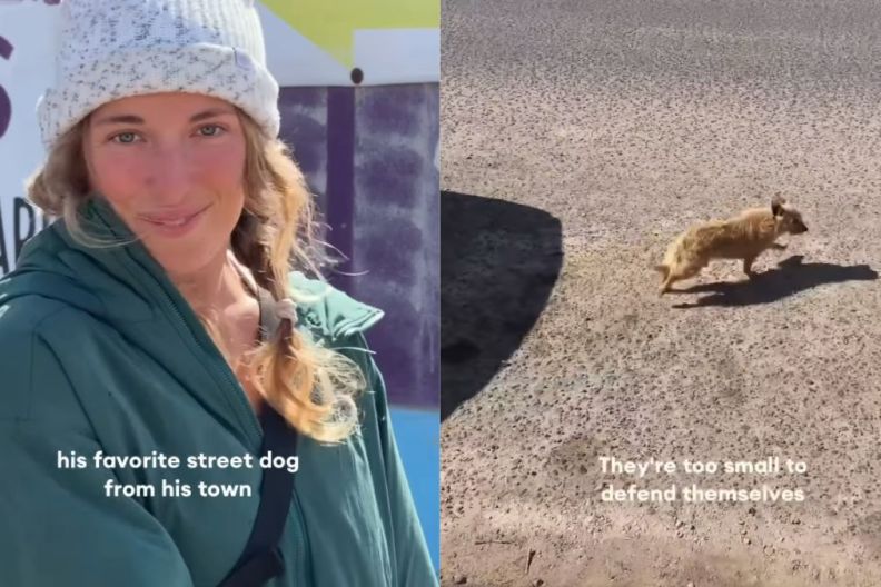 Local Man Desperate To Give Street Dog a Better Life Rescues Him