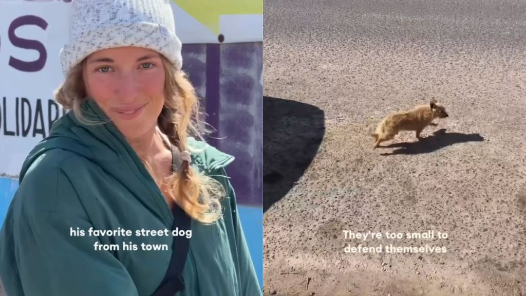 Local Man Desperate To Give Street Dog a Better Life Rescues Him