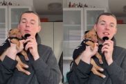 Rescue Dog Has a Message for Human Who Abandoned Him