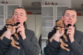 Rescue Dog Has a Message for Human Who Abandoned Him