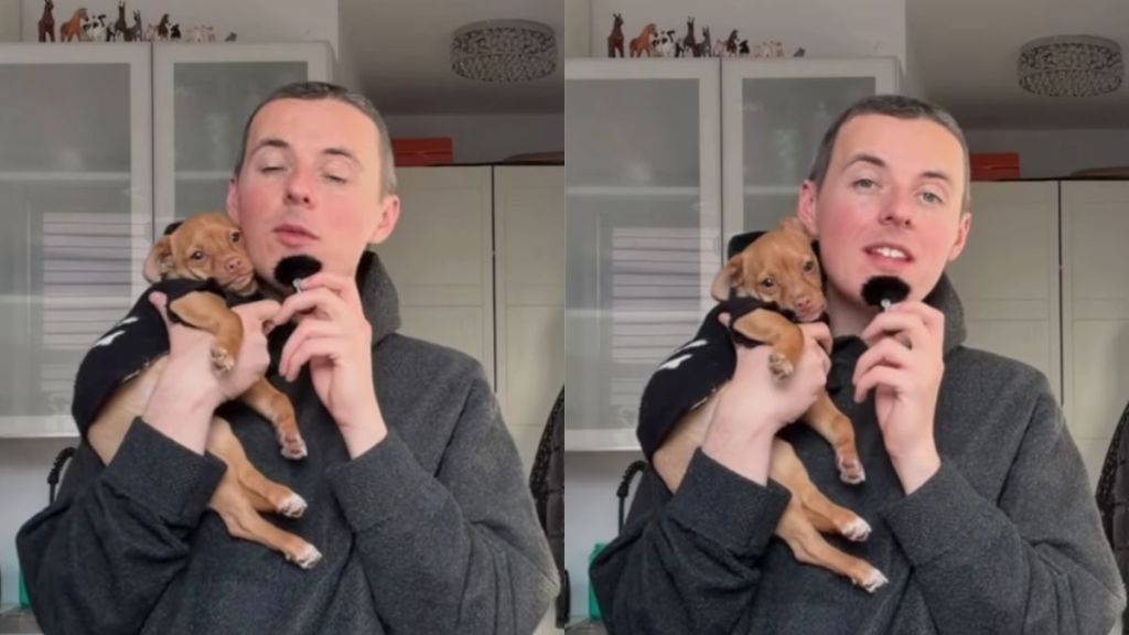 Rescue Dog Has a Message for Human Who Abandoned Him