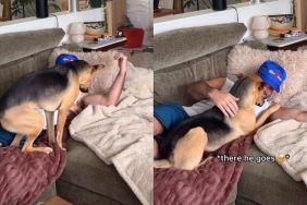 Rescue Dog Abandons His Nap for Dad’s Snuggles Like There’s Nowhere He’d Rather Be