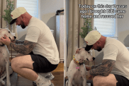 rescue dog video