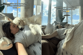dog hug video