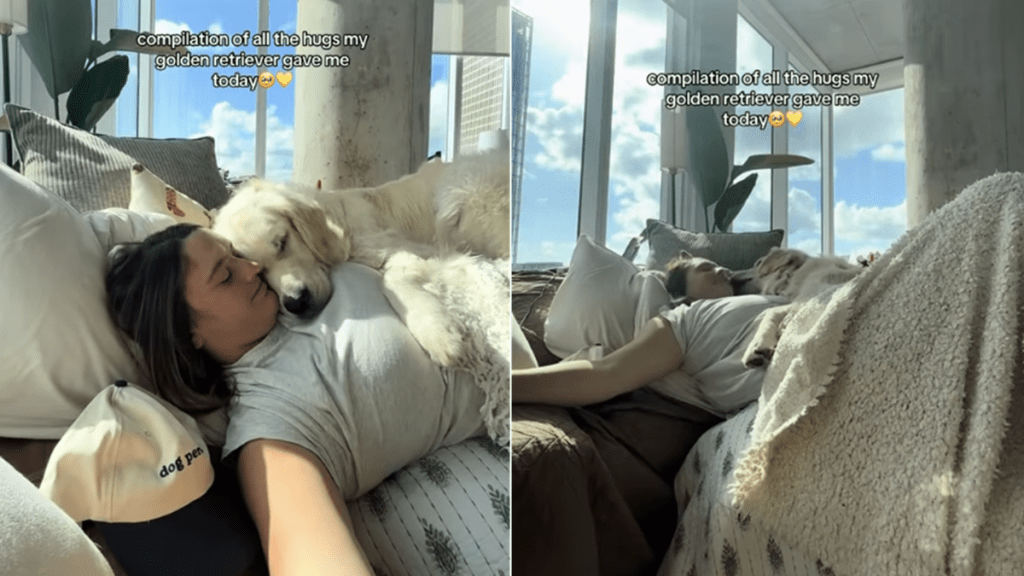 dog hug video