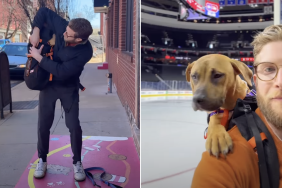 dog video