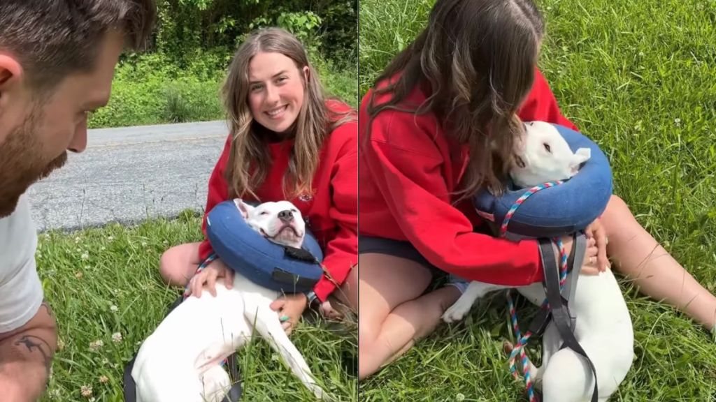 Man Takes Girlfriend on a Date to Dog Shelter & the Rest Is History
