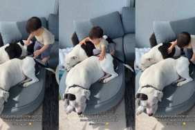 Two Dog Siblings Offer Baby What a Large Couch Wouldn't