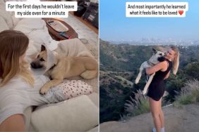 Abandoned Rescue Dog Learns What Its Like To Be Loved in New Home