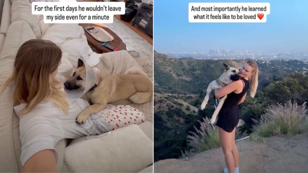 Abandoned Rescue Dog Learns What Its Like To Be Loved in New Home