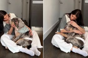 Rescue Dog Gets a Sweet Pep Talk From Foster Mom Before Adoption Event