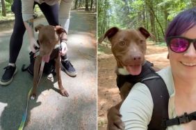 Rescue Tripod Dog Still Worries About Being Left Behind, but His Family Shows He’s Home for Good