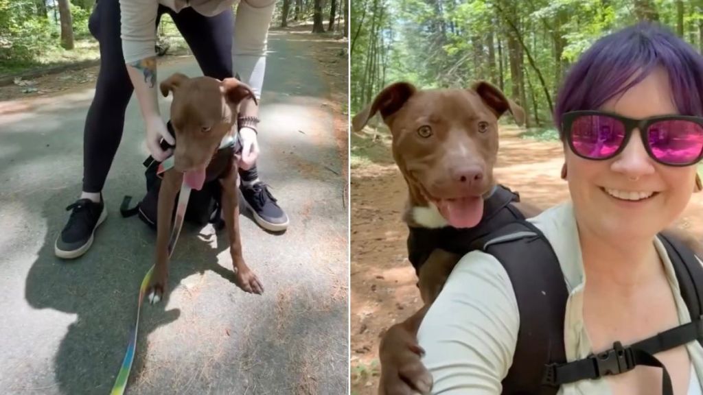 Rescue Tripod Dog Still Worries About Being Left Behind, but His Family Shows He’s Home for Good