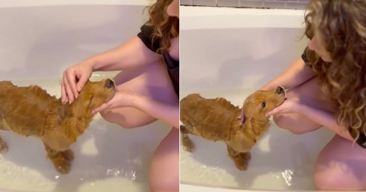 ‘Neglected’ Puppy Dumped Alone on the Streets Washes Away Sad Past With First Bath