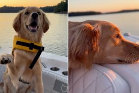 Golden Retriever Puppy Experiences First Sunrise With Dad & It Couldn’t Be Sweeter