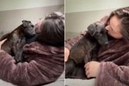 Rescue Puppy's Eyes Overflows with Love & Gratitude for Owner