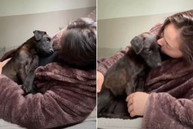 Rescue Puppy's Eyes Overflows with Love & Gratitude for Owner