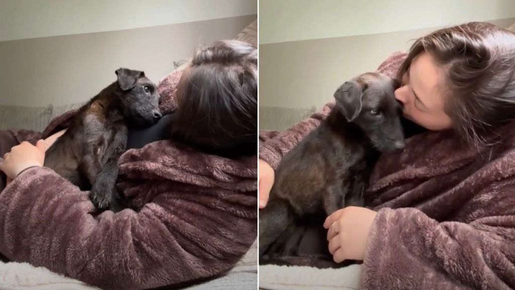 Rescue Puppy's Eyes Overflows with Love & Gratitude for Owner