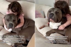 Bully Branded ‘Vicious’ Is Just a Baby Watching Cartoons With Little Sister