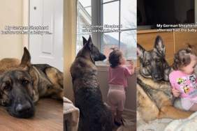 Big Dog Can’t Imagine Life Without Little Girl & She Loves Every Minute of It