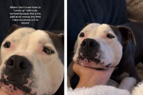 Rescue Dog Always Knows Just How To Help When Mom Needs ‘Cute’ Content