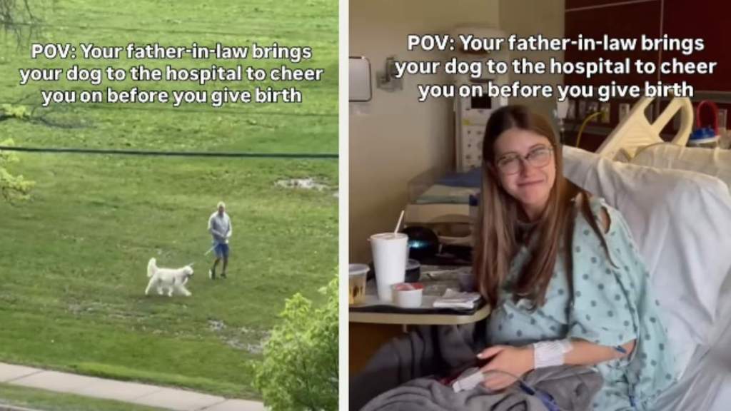 Dog Cheers on Mom Before She Gives Birth With a Little Help