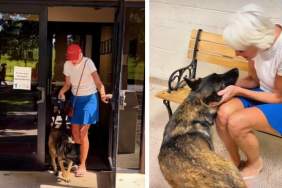 Shelter Dog Surrendered by Family Finds New Home With Air Force Veteran