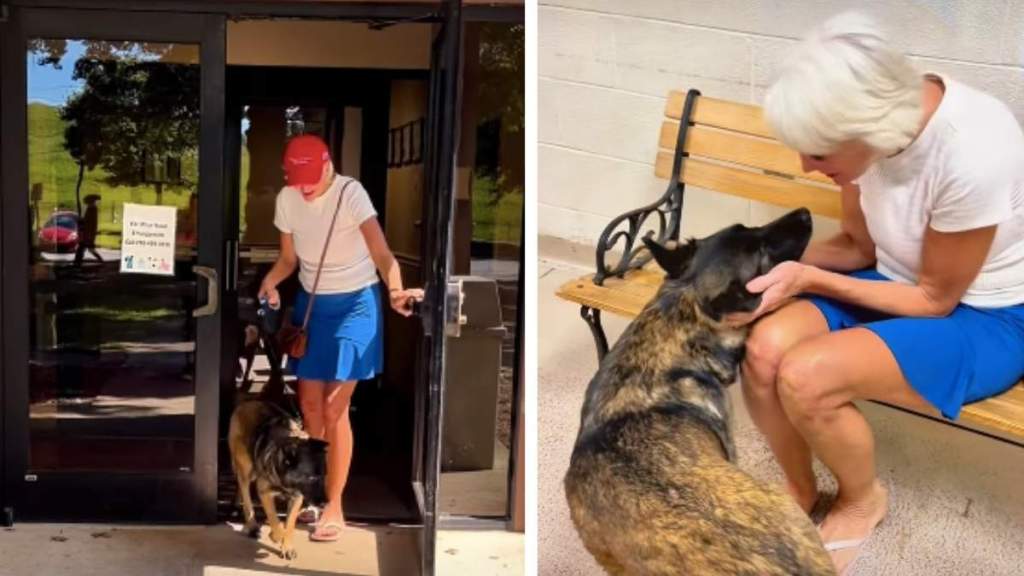 Shelter Dog Surrendered by Family Finds New Home With Air Force Veteran