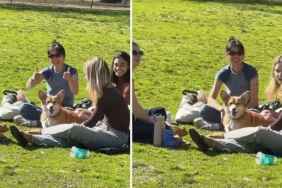 Corgi Finds His Popularity as 'Ladies Man' & Nothing Can Stop Him Now