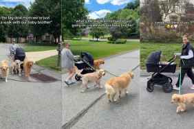 Golden Retrievers Joining Little Baby & Mom for Walk Is Reminder of Where It All Started