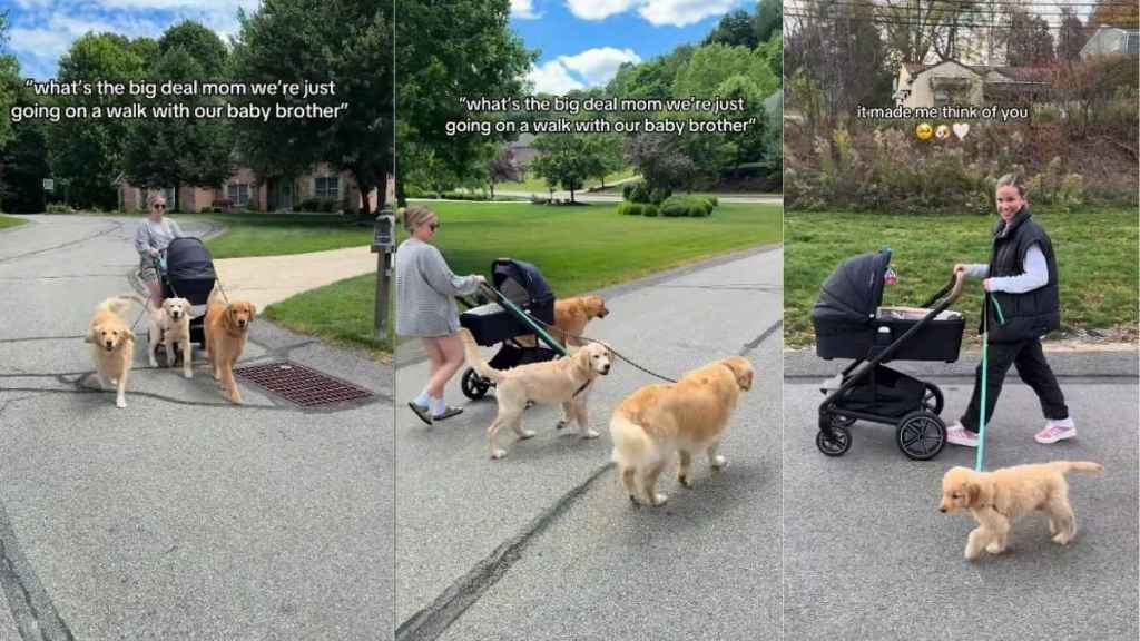 Golden Retrievers Joining Little Baby & Mom for Walk Is Reminder of Where It All Started