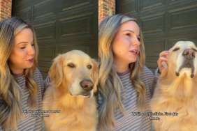 Golden Retriever Becomes Mom’s Sweetest Support in Postpartum Journey With New Baby