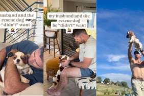 Rescue Dog’s Arrival Changes Dad Grieving Over Lost Pup