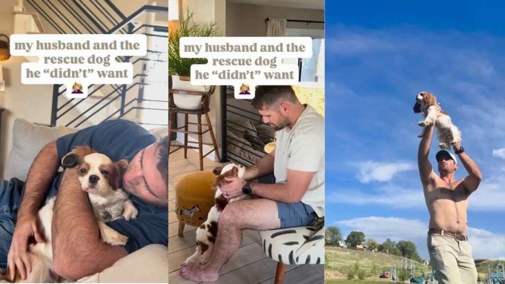 Rescue Dog’s Arrival Changes Dad Grieving Over Lost Pup