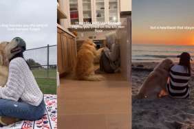 Soul Dog’s Love for Owner Sees No Judgment, Only Companionship