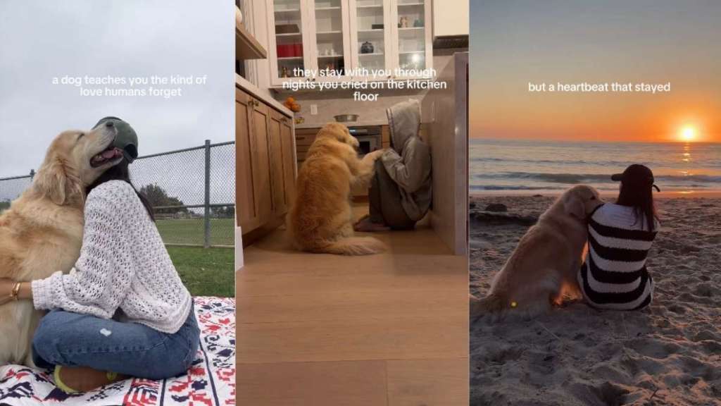 Soul Dog’s Love for Owner Sees No Judgment, Only Companionship