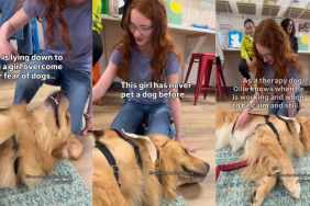 Therapy Dog Helps Young Girl Overcome Her Fear of Dogs