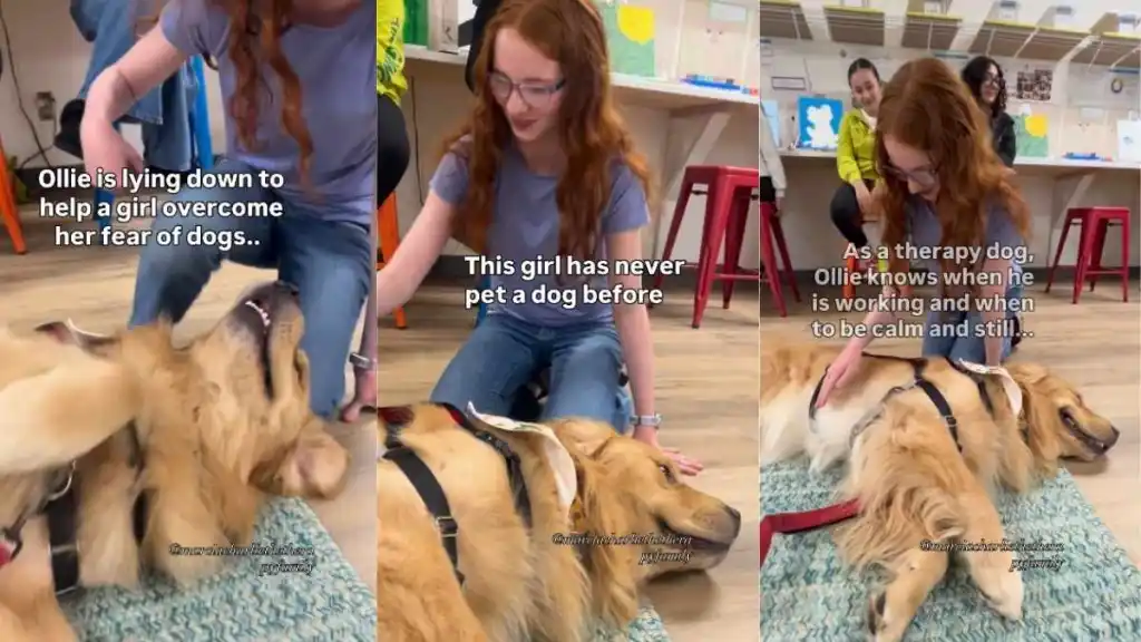 Therapy Dog Helps Young Girl Overcome Her Fear of Dogs