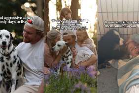 Late Dog Sends Family a New Ray of Hope in the Best Possible Way