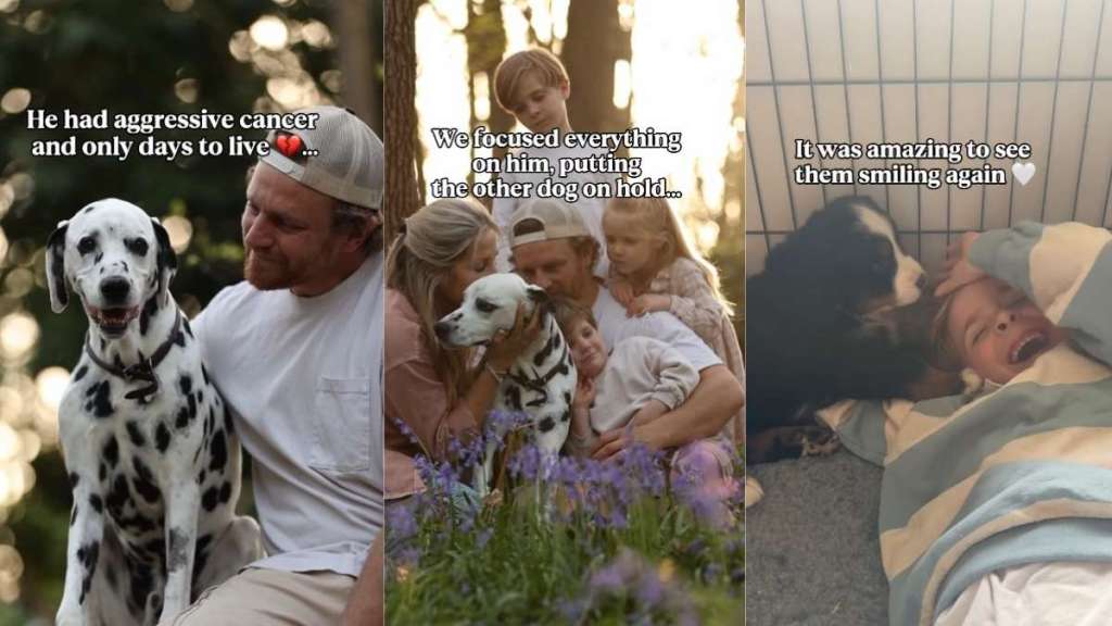 Late Dog Sends Family a New Ray of Hope in the Best Possible Way