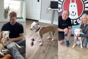 Rescue Dog Had No Adoption Interests, but Now Gets a Family to Cuddle With
