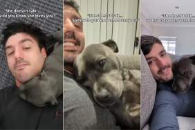 Staffy’s Love for Dad Extends Beyond What She Could Ever Say With Words